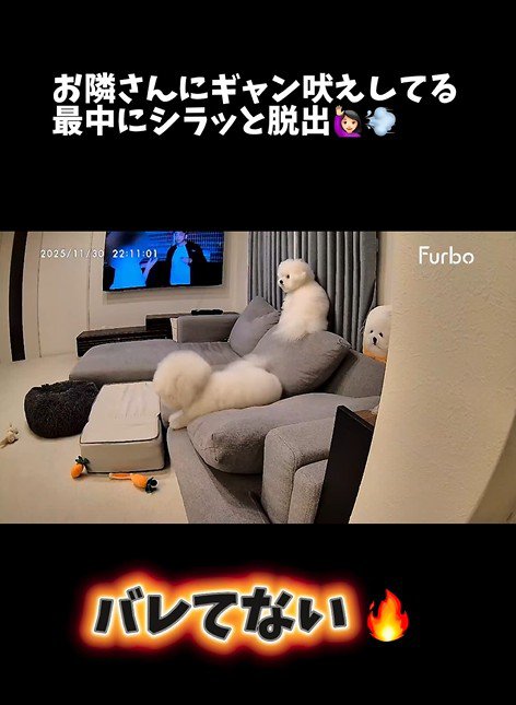 バレないで家を出られるか挑戦3