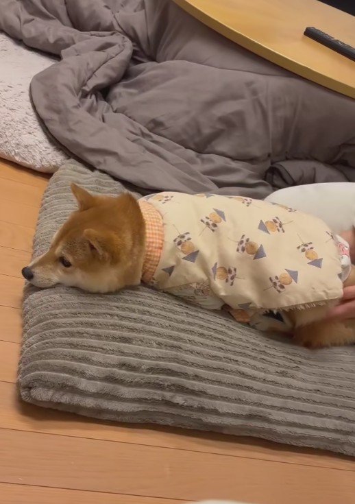 「そろそろ寝よう」