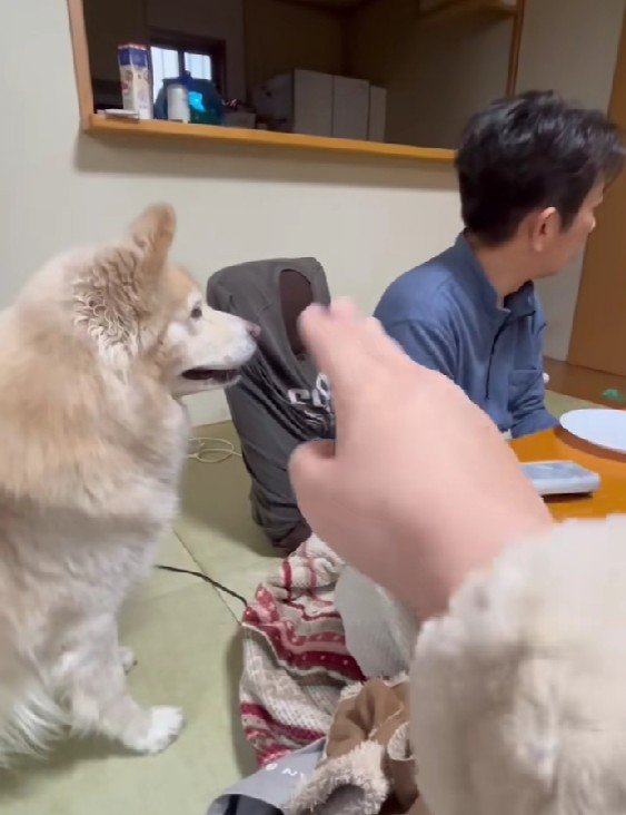 ケンタくんに指示を出すと…