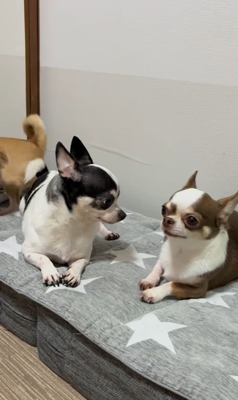 うめちゃんの遊びの誘い方