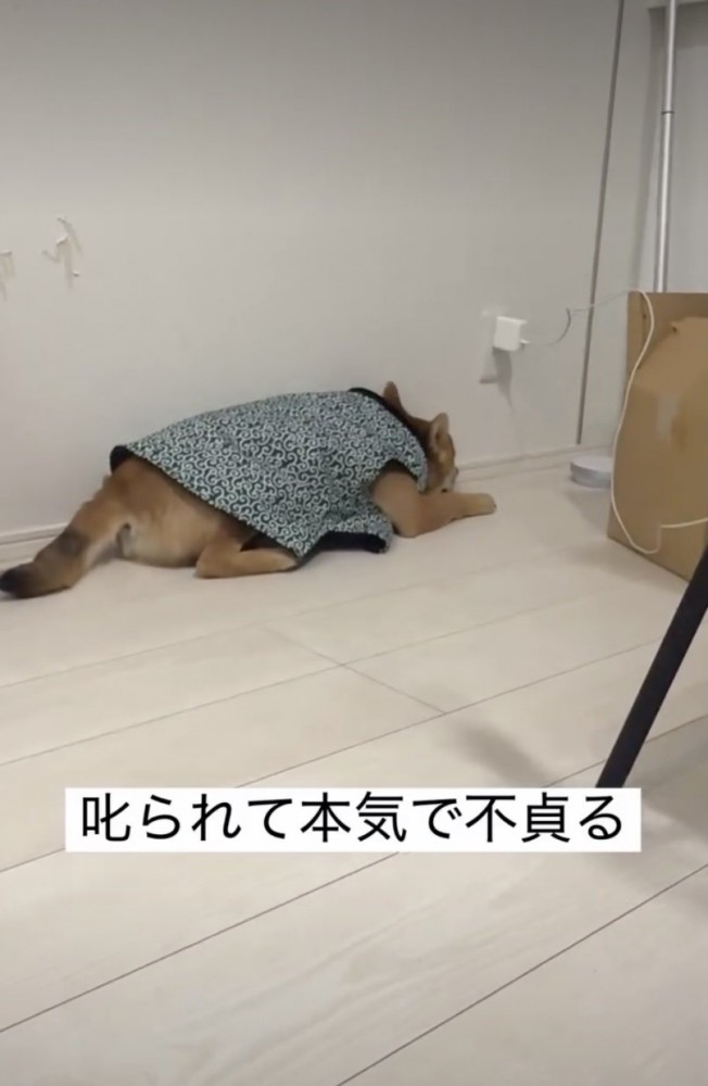 ふてくされてる！