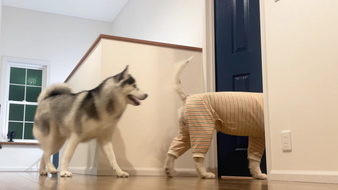 あっという間に寝室へ！！