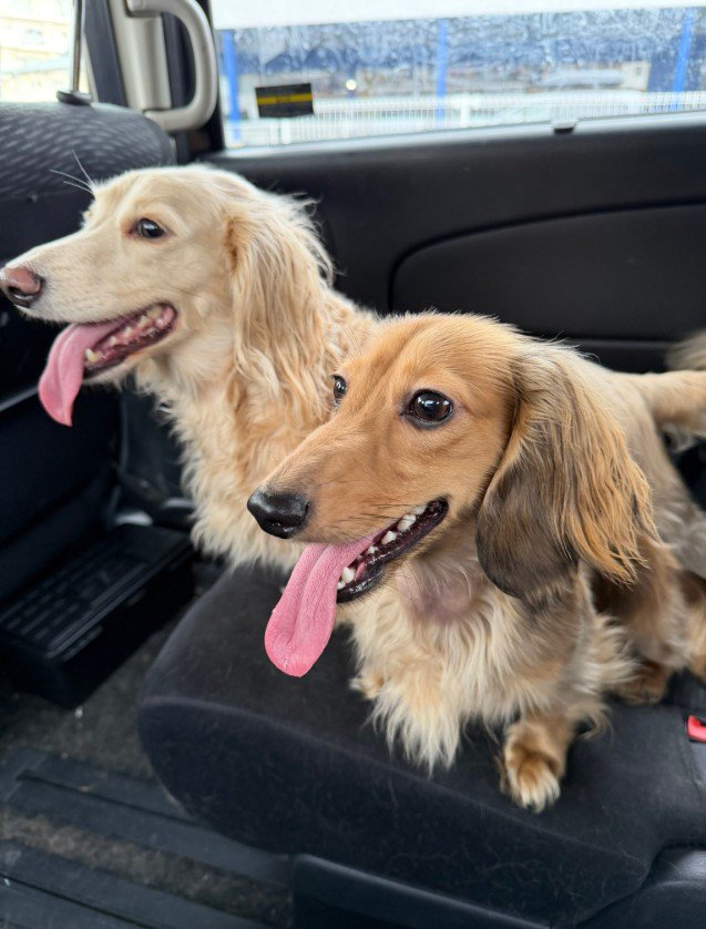 可愛いツーショット♡