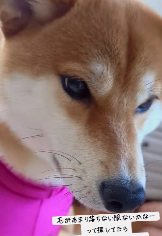 不満そうな表情…