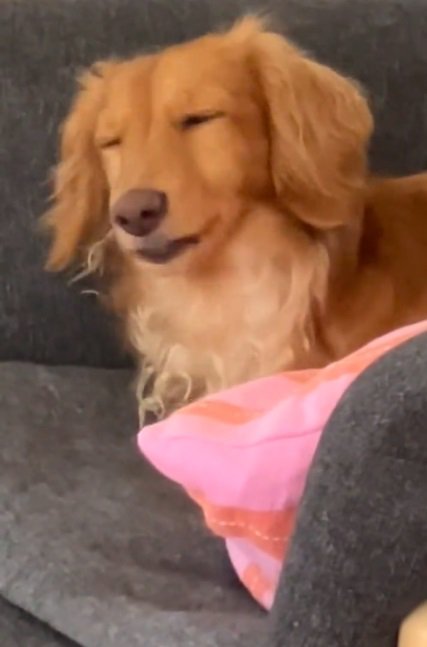 目をつぶるしまちゃん