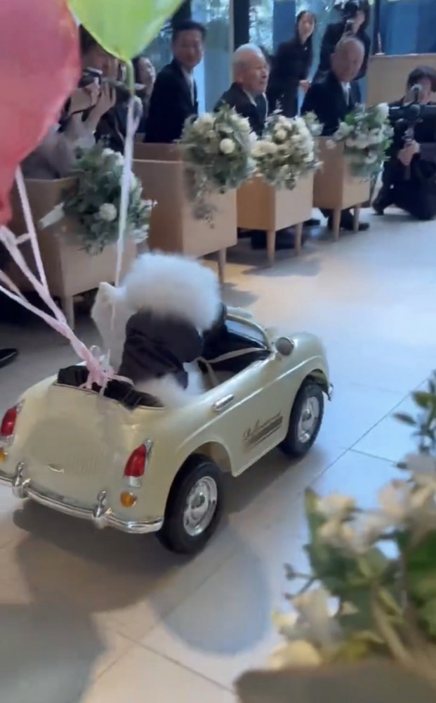 バージンロードを走る車