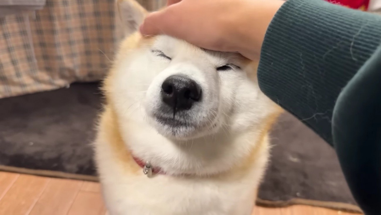 健気な姿にホッコリ♡