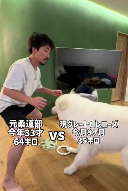 どちらもやる気満々！