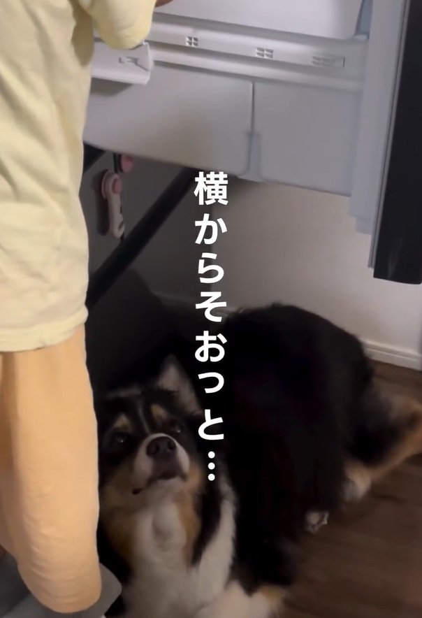 気づいたLeaちゃん