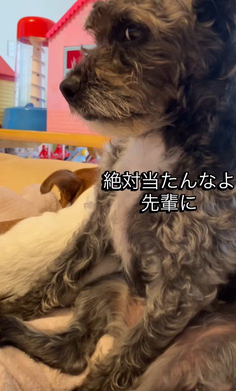 「先輩を怒らせるなよ…？」と警戒中
