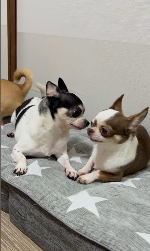 うめちゃんの遊びの誘い方4