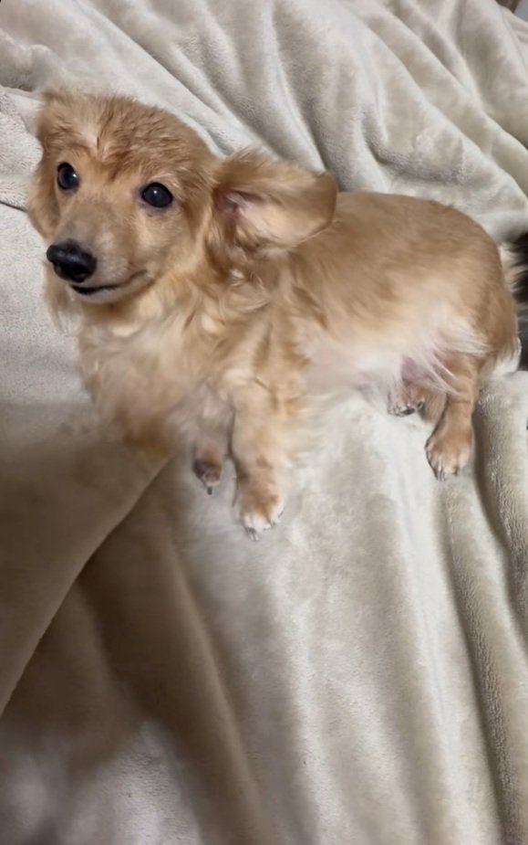 目覚めたピースちゃん