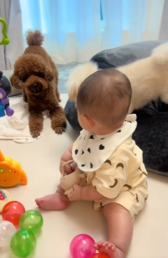 駆け付けたぽてとちゃん