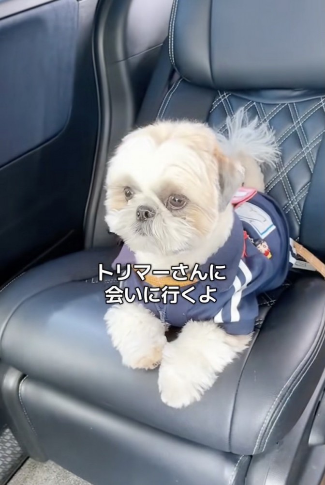 覚えているかな？