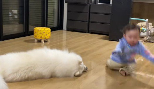 男の子が転倒！！