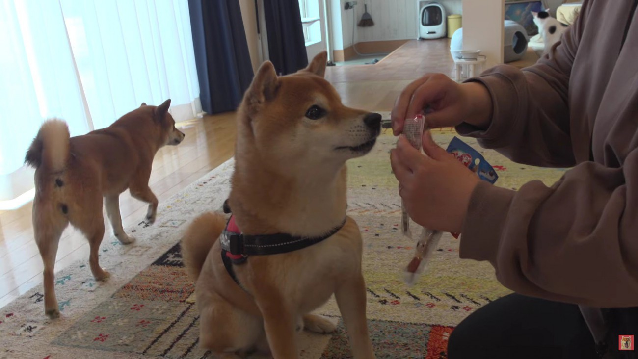 おやつでゴキゲンに♪