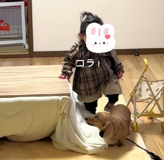 ぶつかっちゃった！！