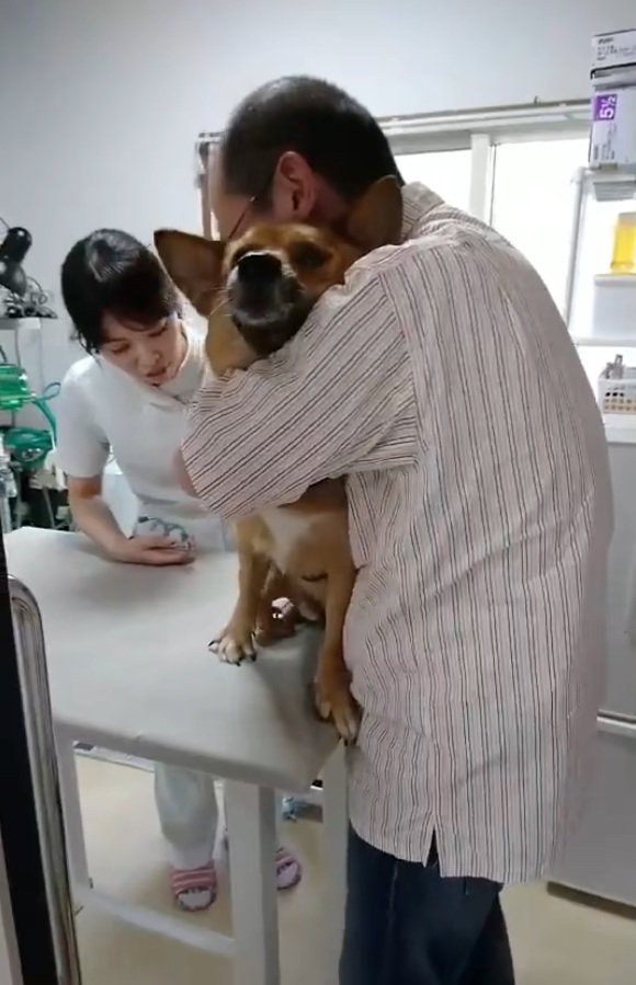 保定されるわんこ