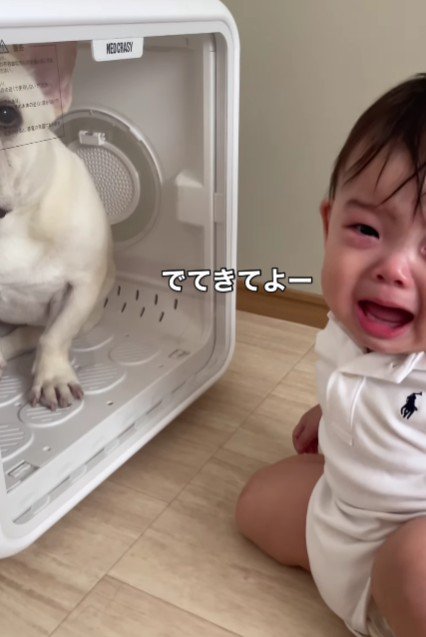 「出てきてよ～！！」