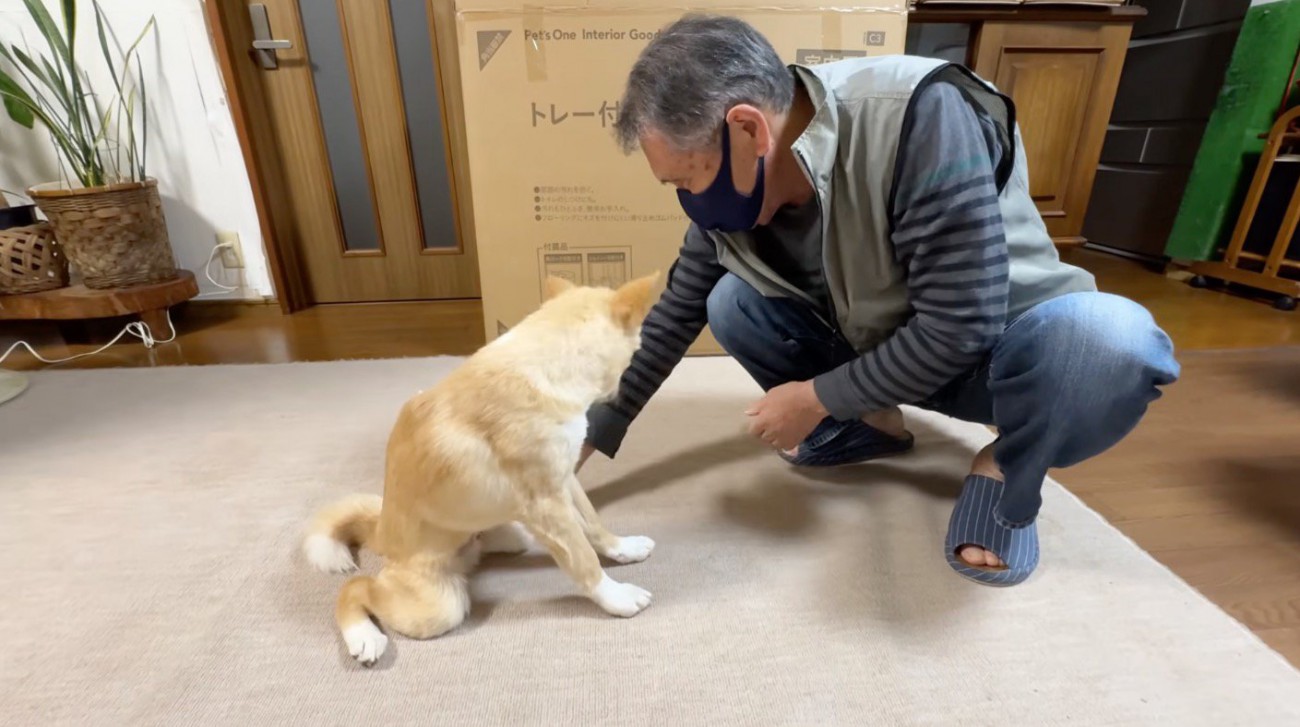 擦り合わせた手を犬の足に触れるおじいちゃん