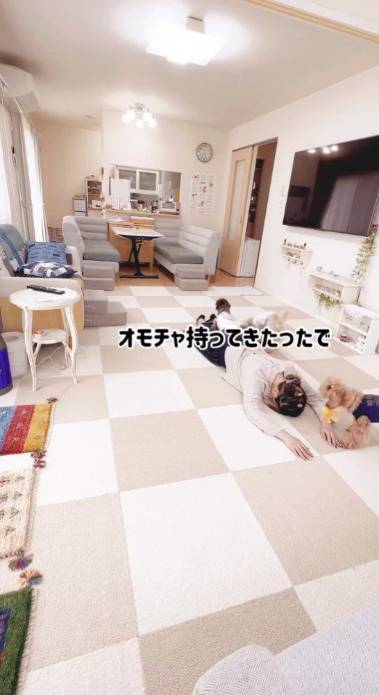 床にうつ伏せになっている飼い主におもちゃを持ってくる茶色い犬