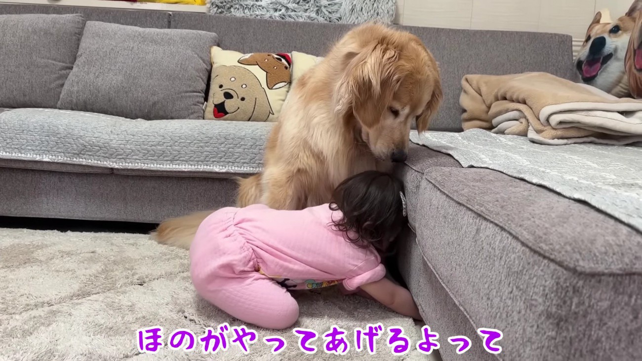 おからちゃんのために頑張ります