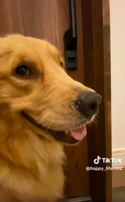 笑顔のハッピーちゃん