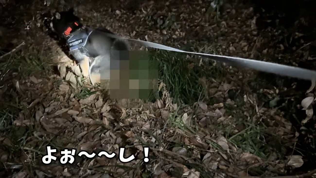 トイレをしてスッキリ♪