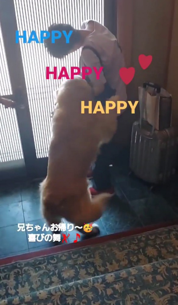 押し戻されるお兄ちゃん