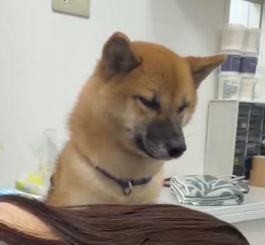 ハッ