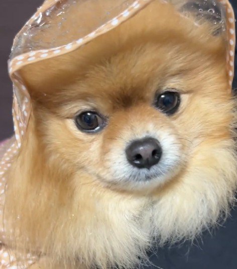 怒りの表情も可愛い♡