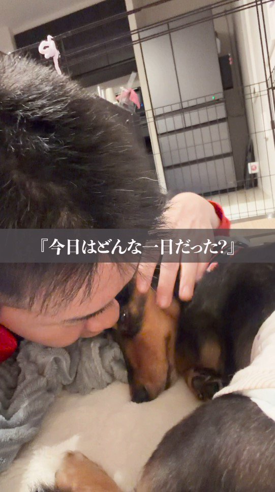 犬に優しく話しかける飼い主