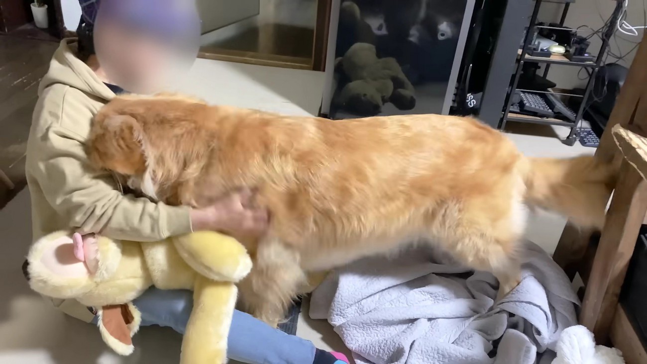 尊すぎる行動にホッコリ