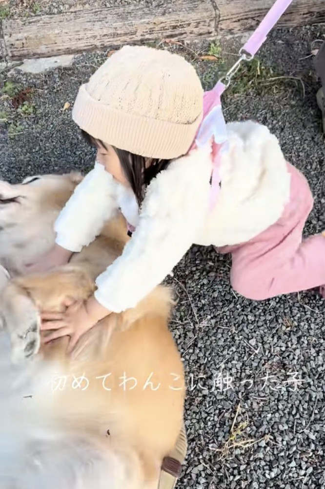 初めてのナデナデ