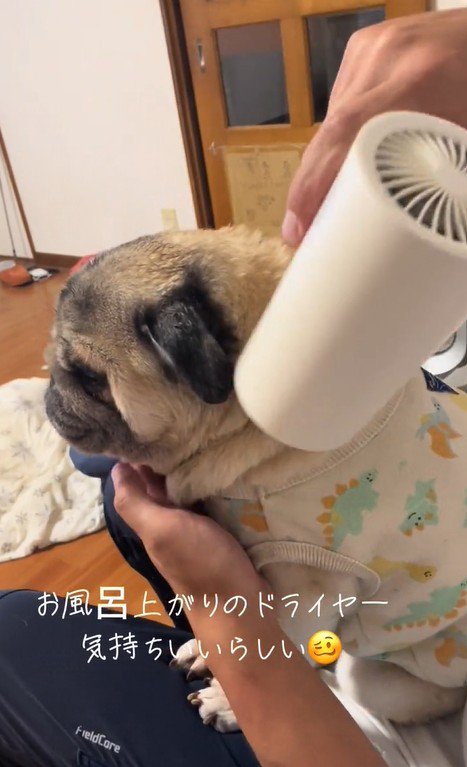 表情豊かなデビちゃん3