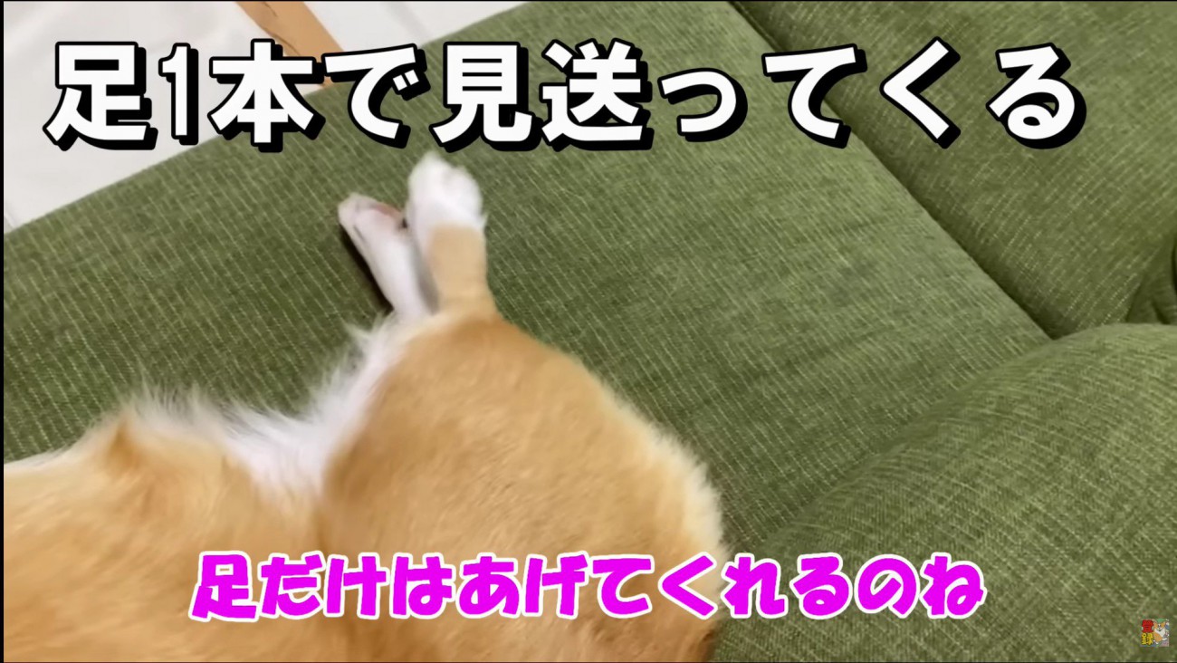 最低限の挨拶で済ます姿に爆笑