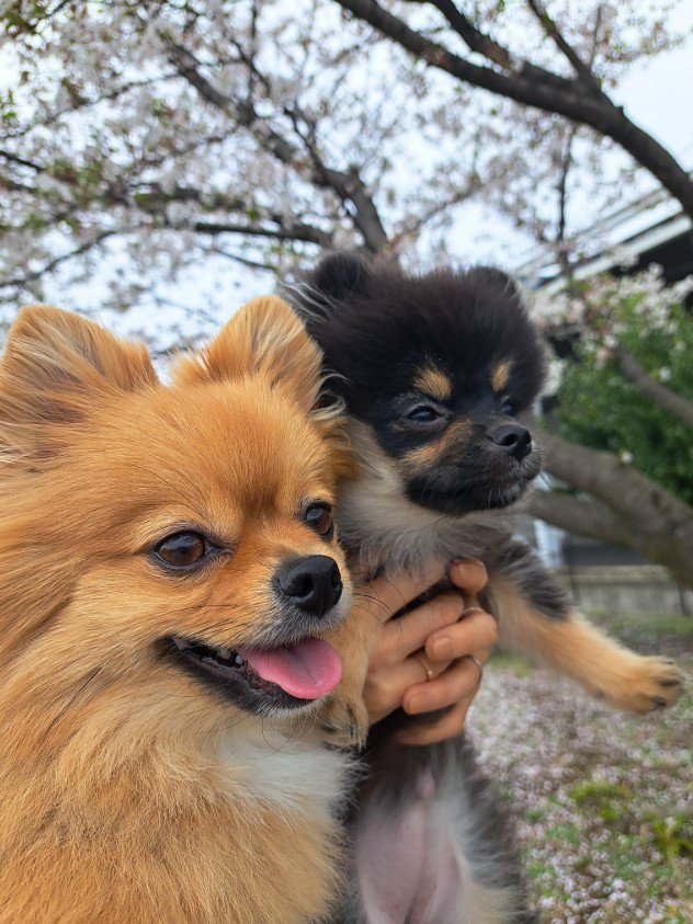 一緒におでかけ♪