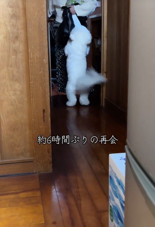 RAUくんの熱烈大歓迎3