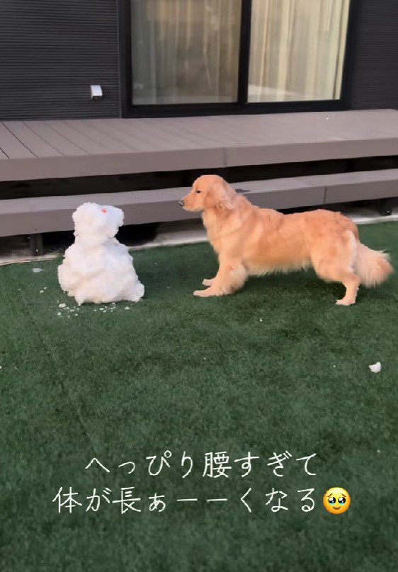 「え…なにコイツ…」