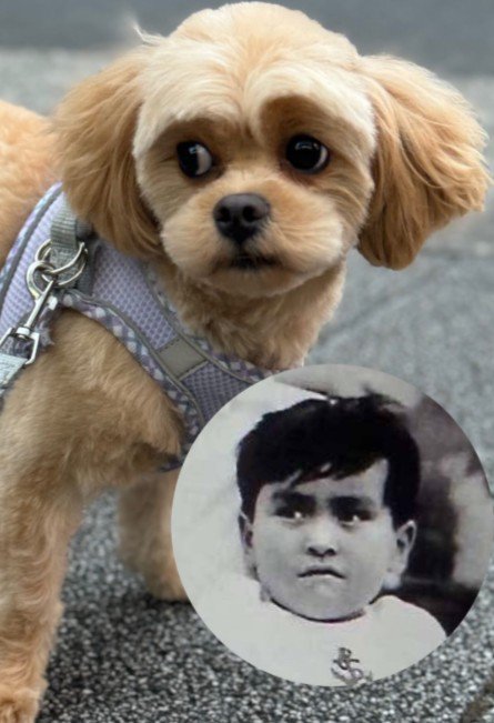 「石原氏の幼少期みたい」