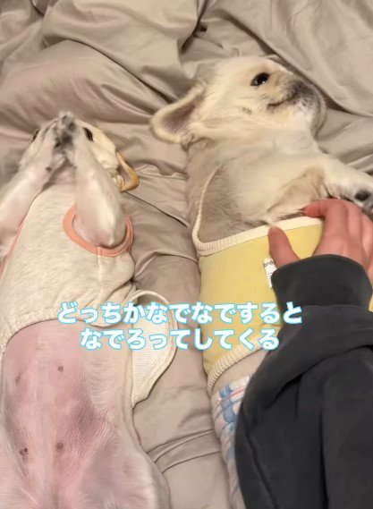 「私も！」