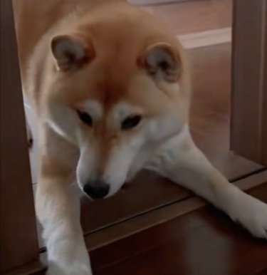 様子