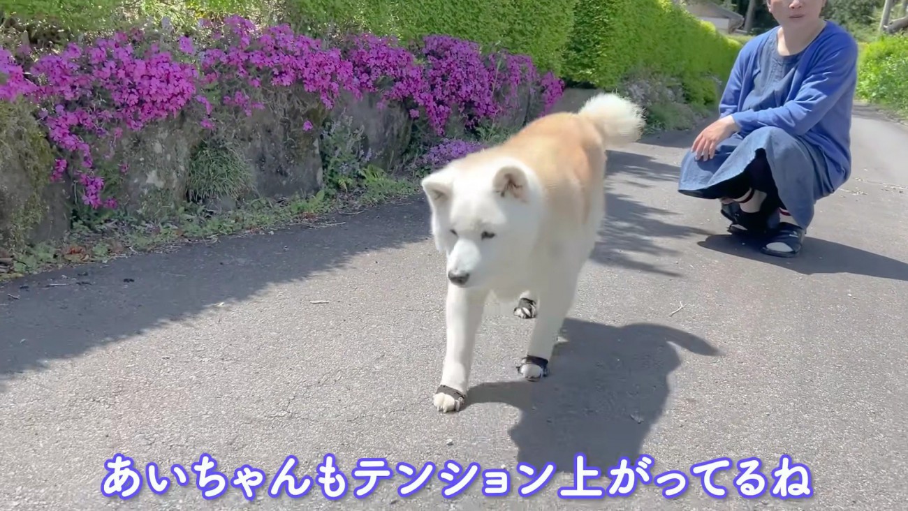 穏やかで優しい時間
