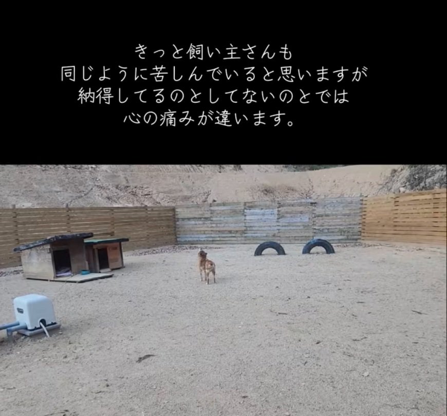 遠吠えする犬2