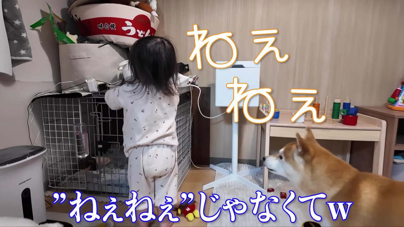 イタズラをひらめいた！？