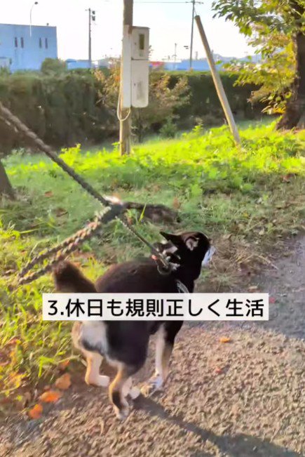 生活リズムも整った