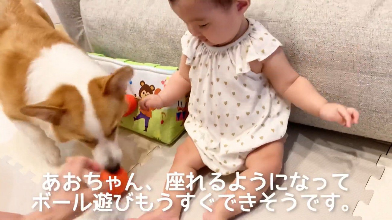 日向ぼっこの後は遊びの時間