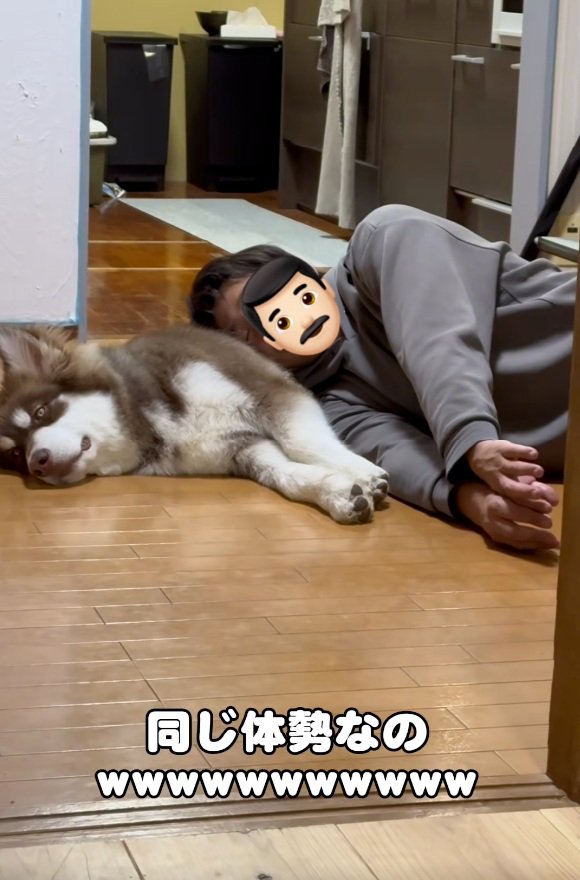 熟睡するふたり