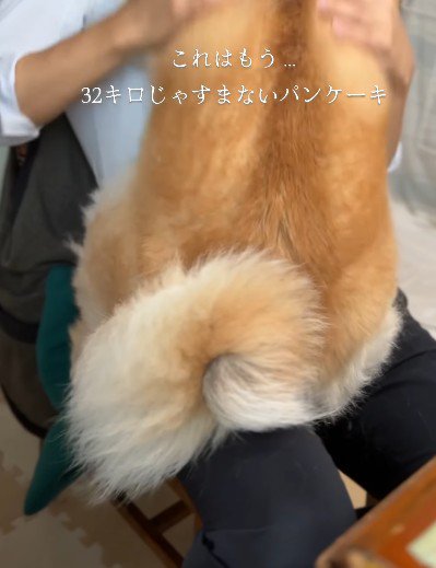 パパに甘えるはるノ嬢ちゃん