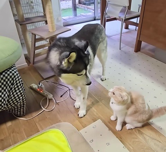 「どうして叩くの…」